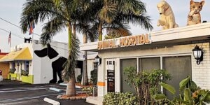 Wilton Manors Animal Hospital