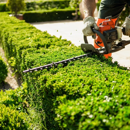 Florida Landscaping Work