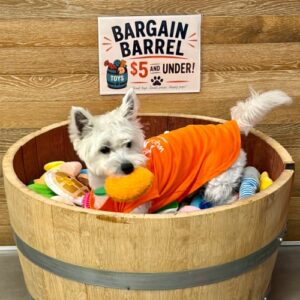 WagPride | Wilton Edge Main Street Sep 2026