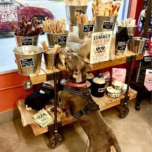 WagPride | Wilton Edge Main Street Sep 2026